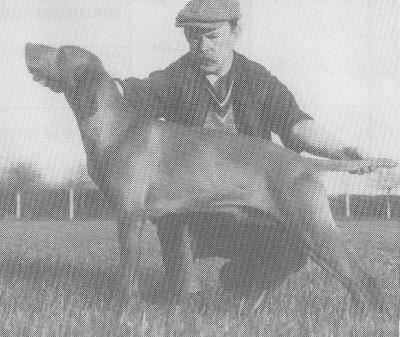 Image of Swanside Zsigmond