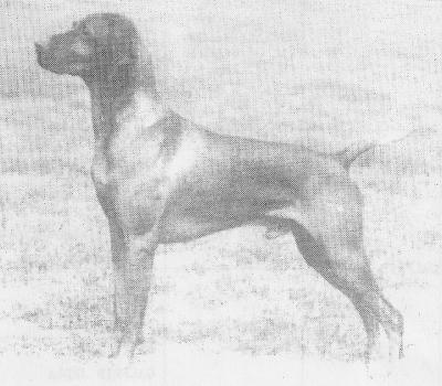 Image of Russetmantle Quiver
