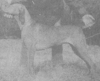 Image of Galfrid Rosa