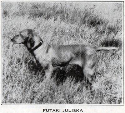 Image of Futaki Juliska