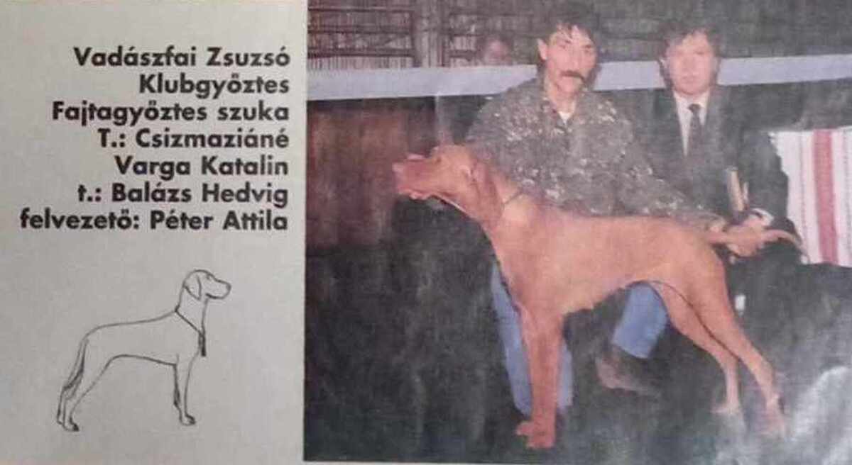 Image of Vadászfai Zsuzsó