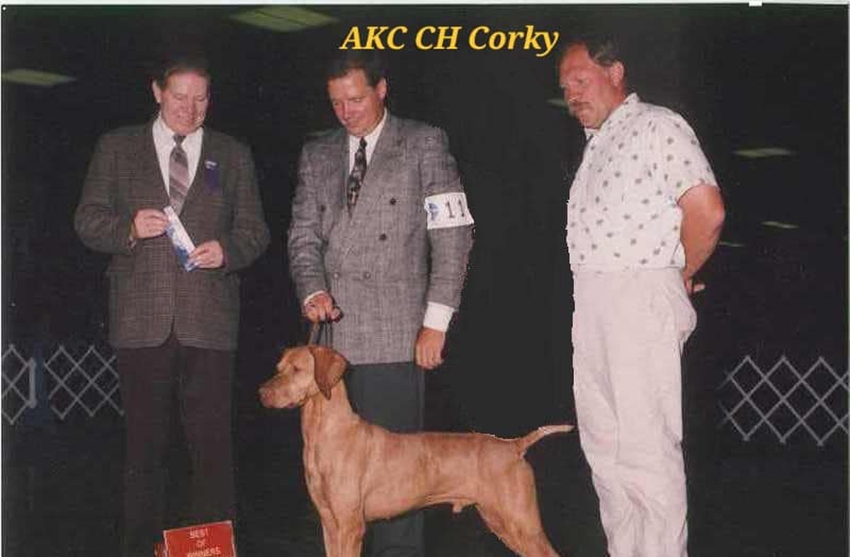 Image of Corky