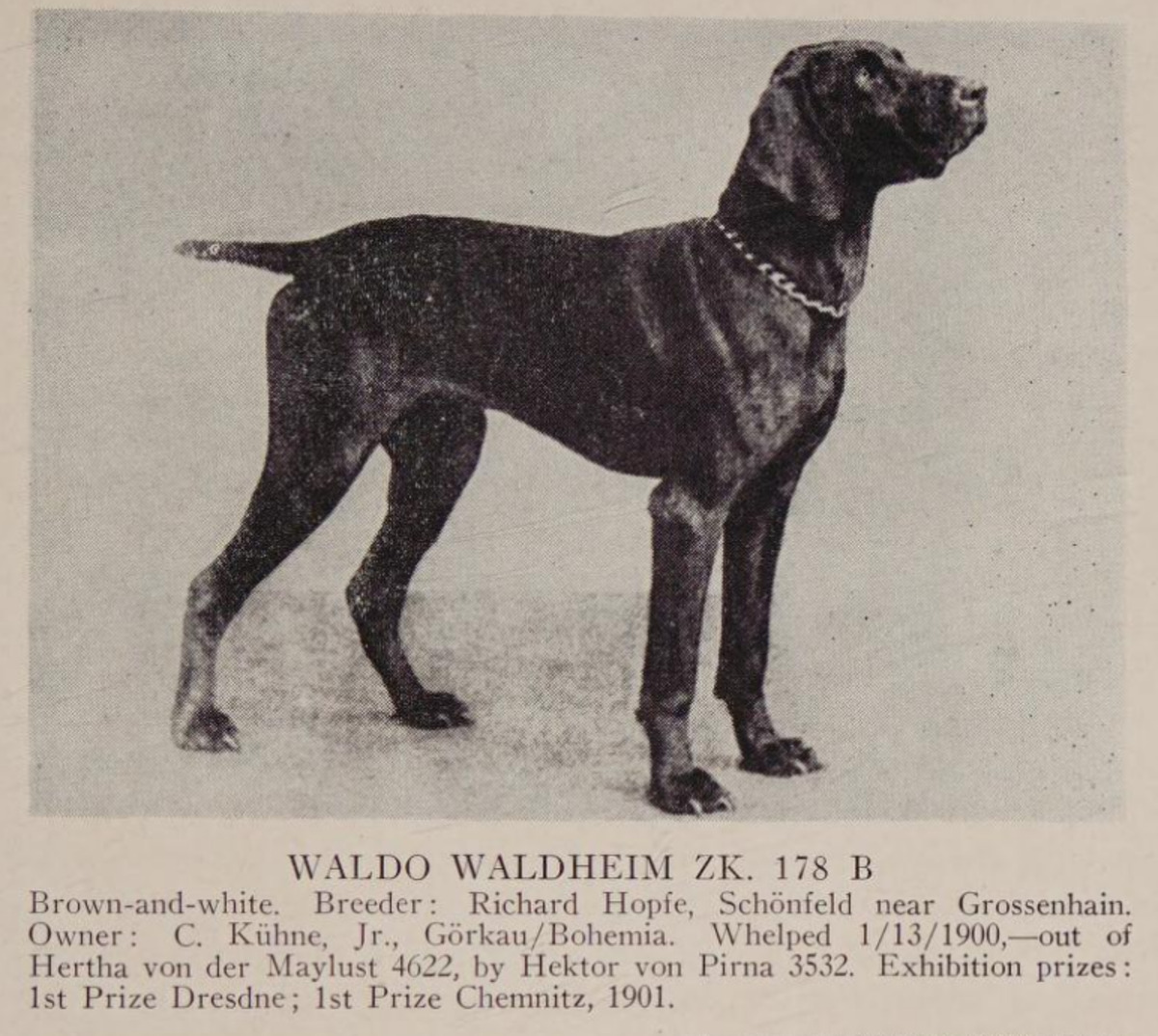 Image of Waldo Waldheim (DK)