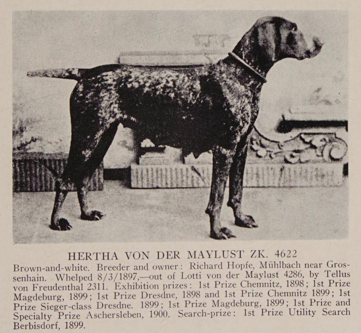 Image of Hertha von der Maylust (DK)