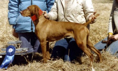 Image of Behi's Jeri Redef