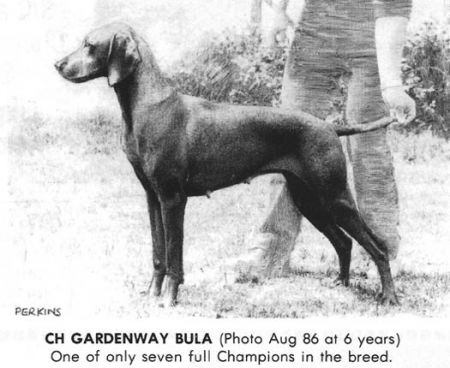 Image of Gardenway Bula
