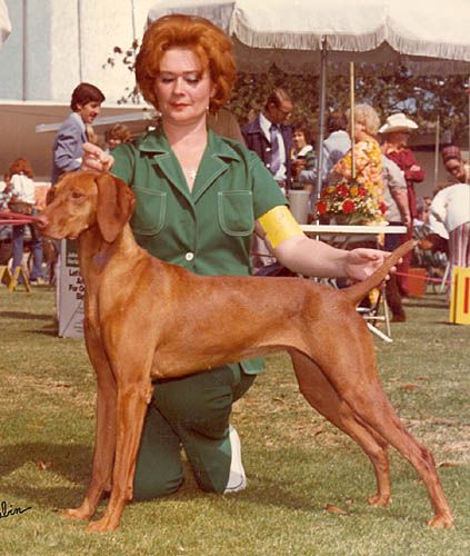 Image of Rotkopf's Tia D'Russet Leather