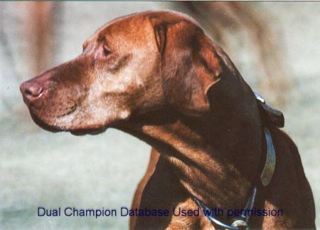 Image of Buster Keeton