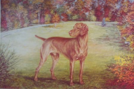 Image of Taunee's Loki Santana
