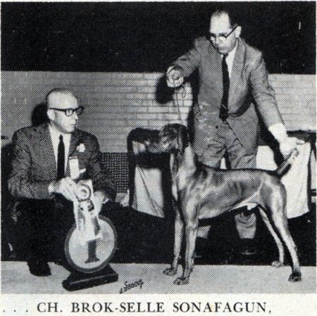 Image of Brok Selle Son of A Gun / Wolfe's Brok Selle