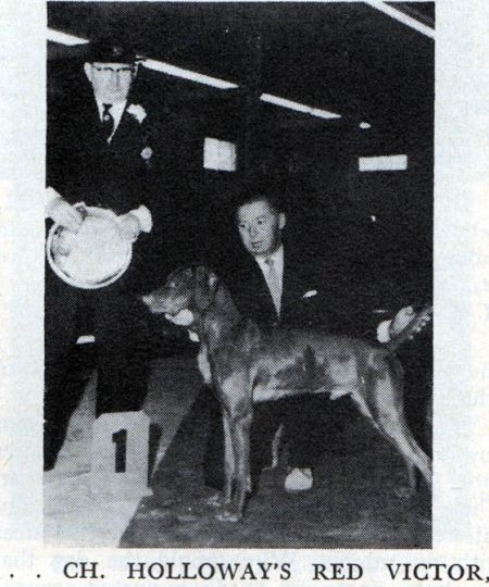 Image of Holloway's Red Victor