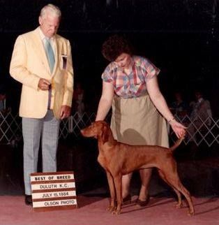 Image of Oakleaf's Whistlin' Dixie