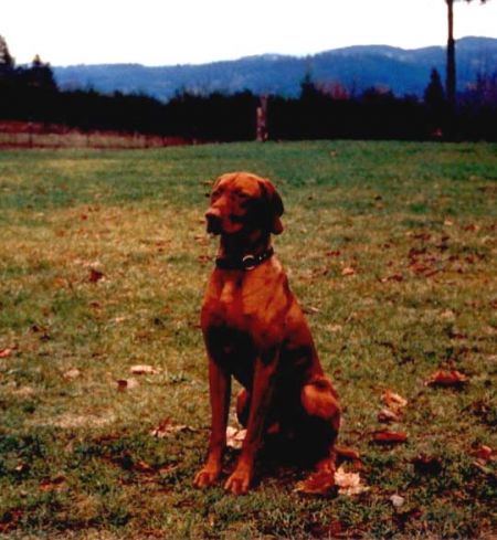 Image of Papago Samsson's Boaz