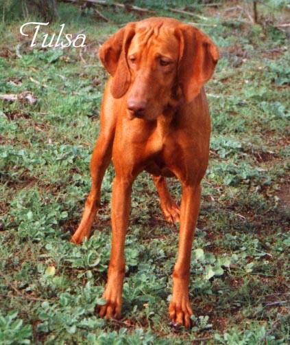 Image of Tulsa Of Trails West