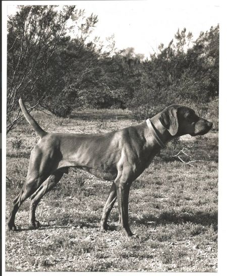 Image of Papago Samsson