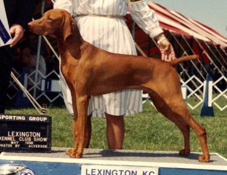 Image of Lyons' Brewster Of Harann