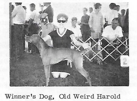 Image of Old Weird Harold