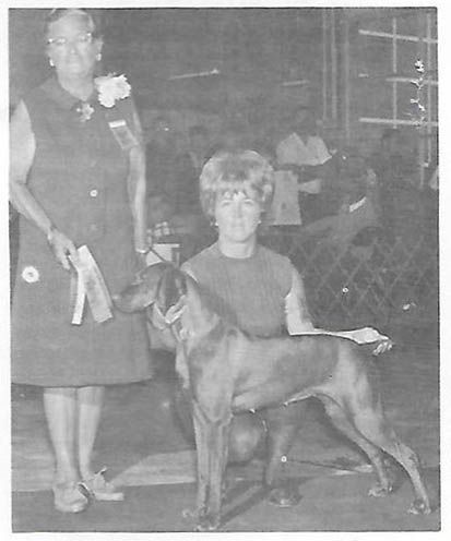 Image of Miss Nessi