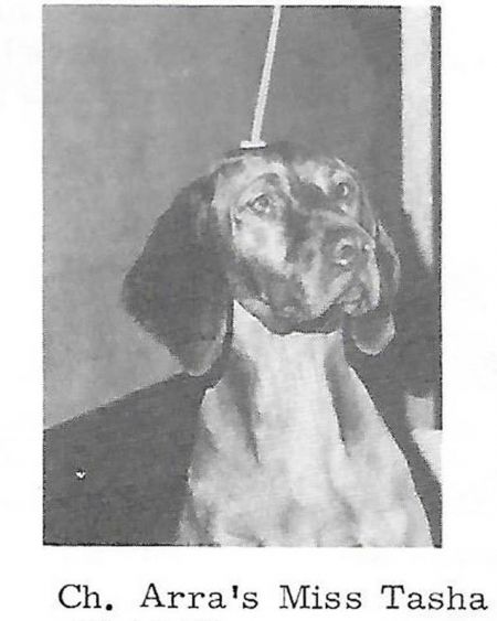 Image of Arra's Miss Tasha
