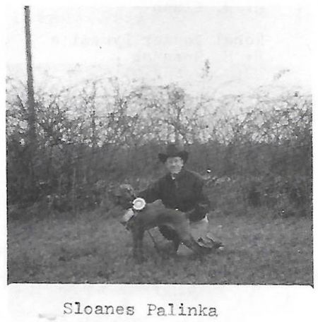 Image of Sloane's Palinka