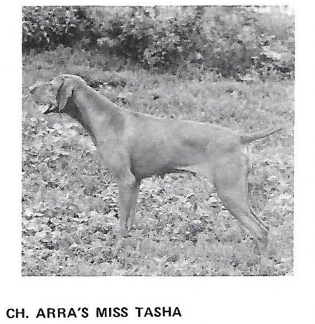Image of Arra's Miss Tasha