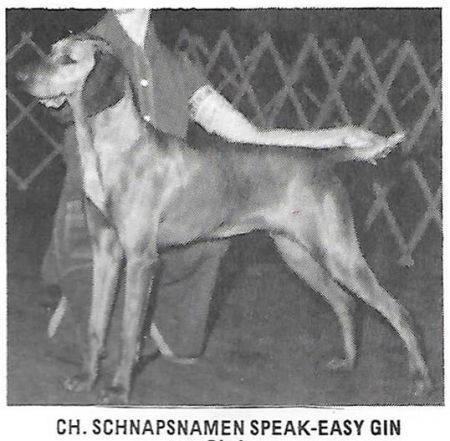Image of Schnapsnamen Speak-Easy Gin *