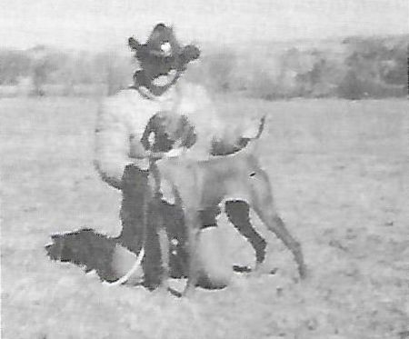 Image of Cline's Olympia Blitz