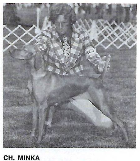 Image of Minka