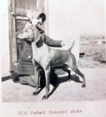 Image of Rebel Rouser Duke