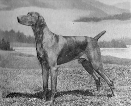 Image of Sandor von Debretsin
