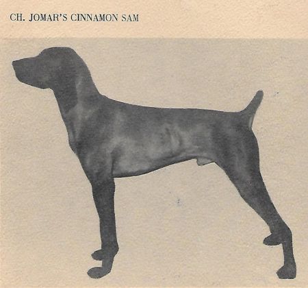 Image of Jomar's Cinnamon Sam
