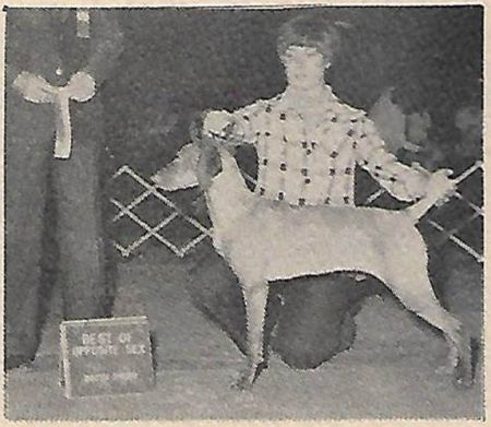 Image of Willie N Berry's Calidar