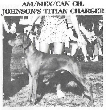 Image of Johnson's Titian Charger