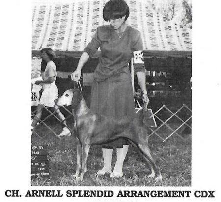 Image of Arnell Splendid Arrangement