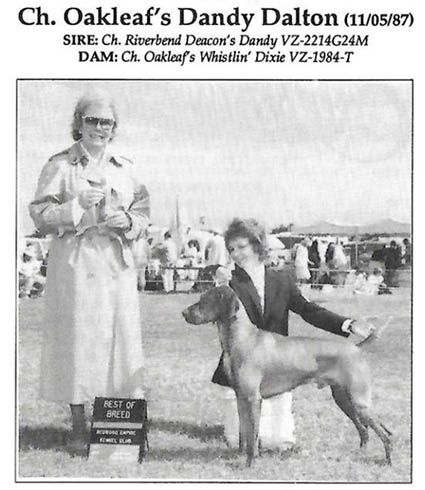 Image of Oakleaf's Dandy Dalton
