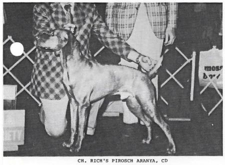 Image of Rich's Pirosch Aranya