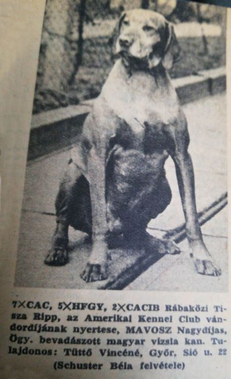 Image of Rábaközi Tisza Ripp