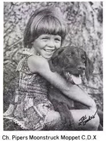 Image of Piper's Moonstruck Moppet