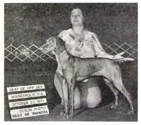 Image of Piper's Mystical Gypsy Lady