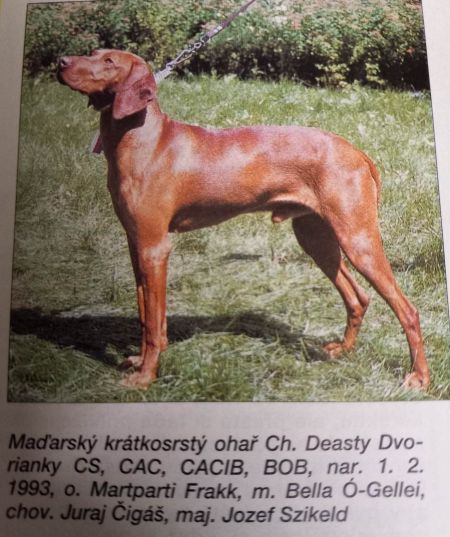 Image of Deasty Dvorianky