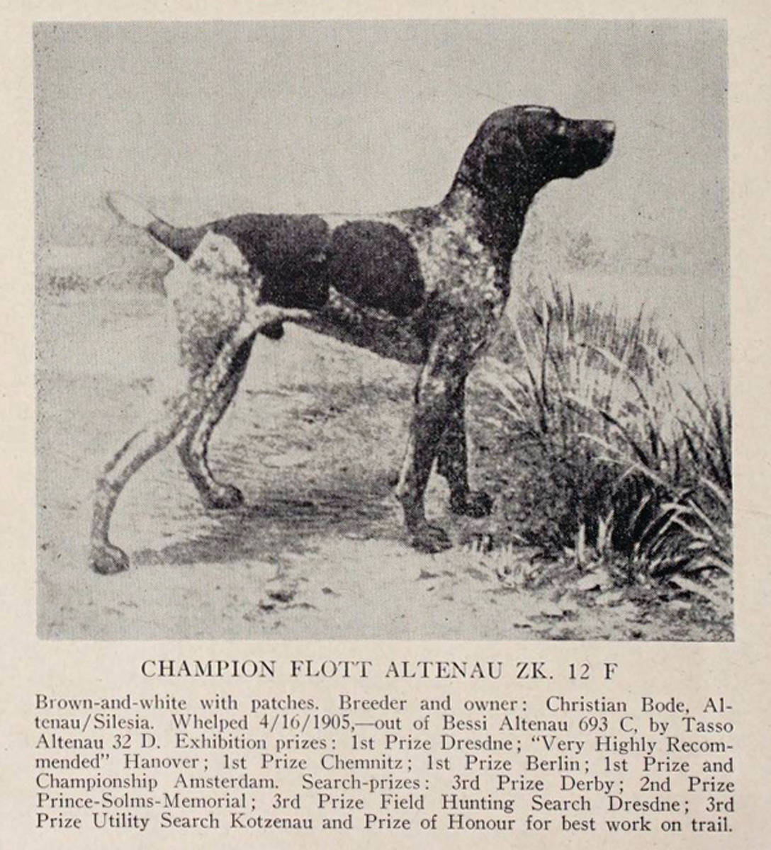 Image of Flott Altenau (DK)