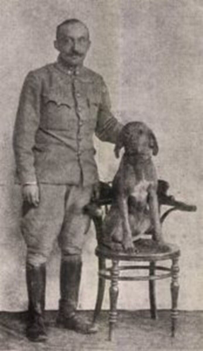 Image of Witti