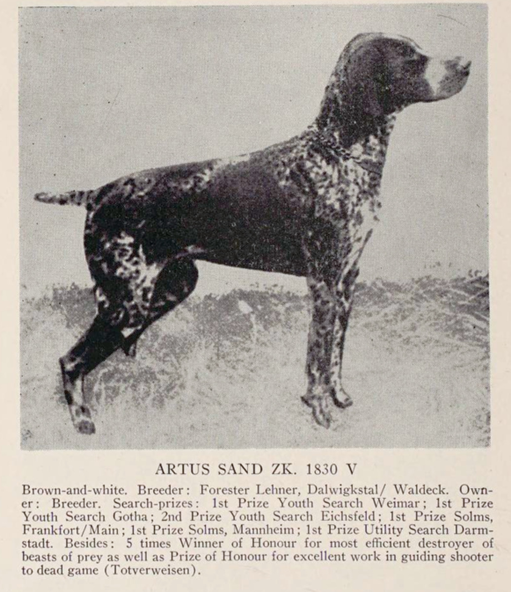 Image of Artus Sand (DK)
