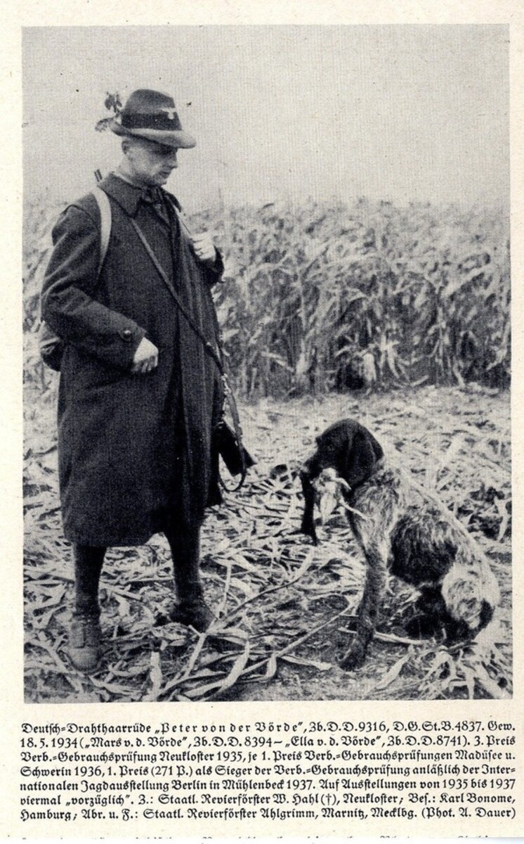 Image of Peter von der Vörde (DD)