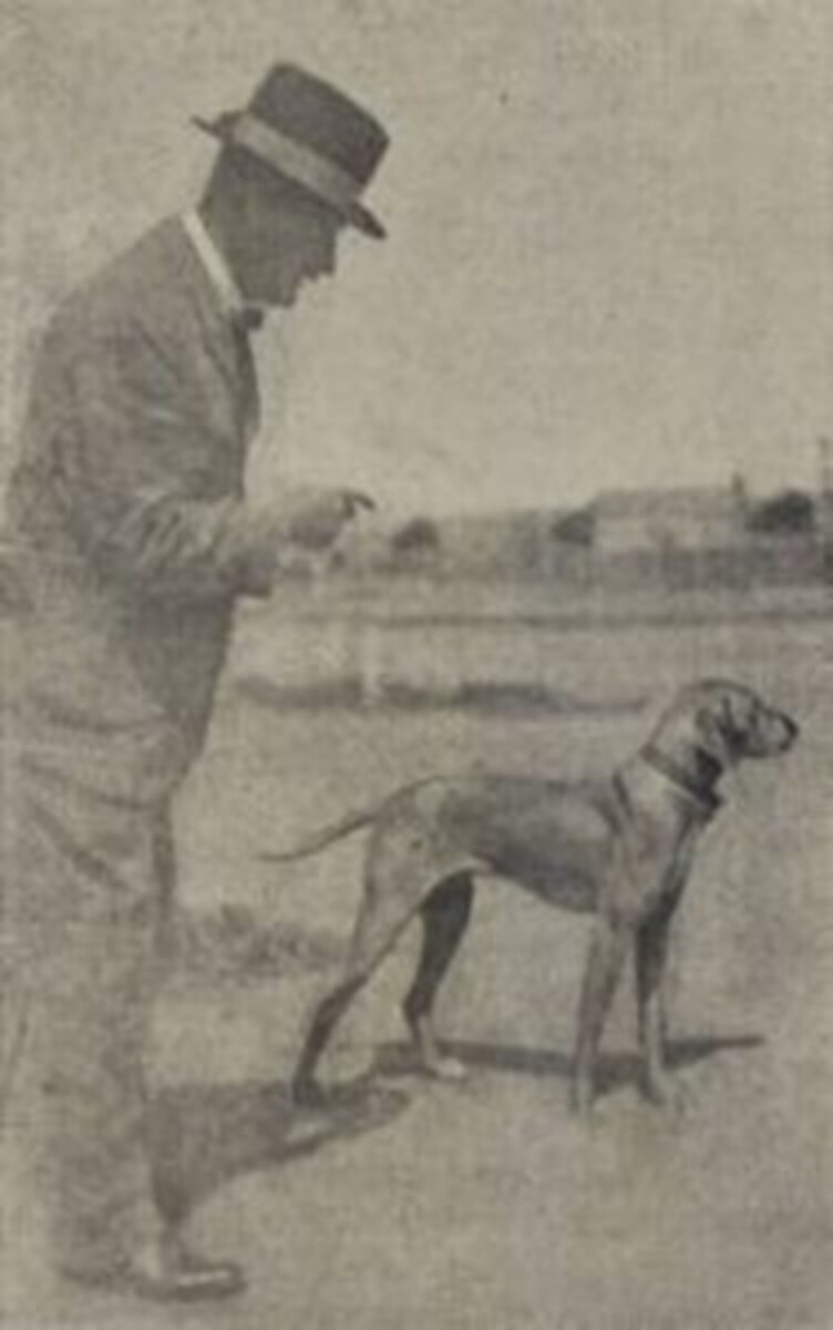 Image of Ripp II