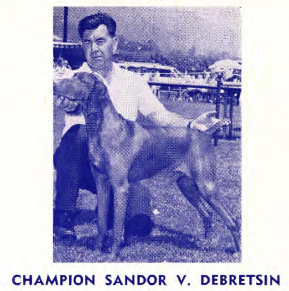 Image of Sandor von Debretsin