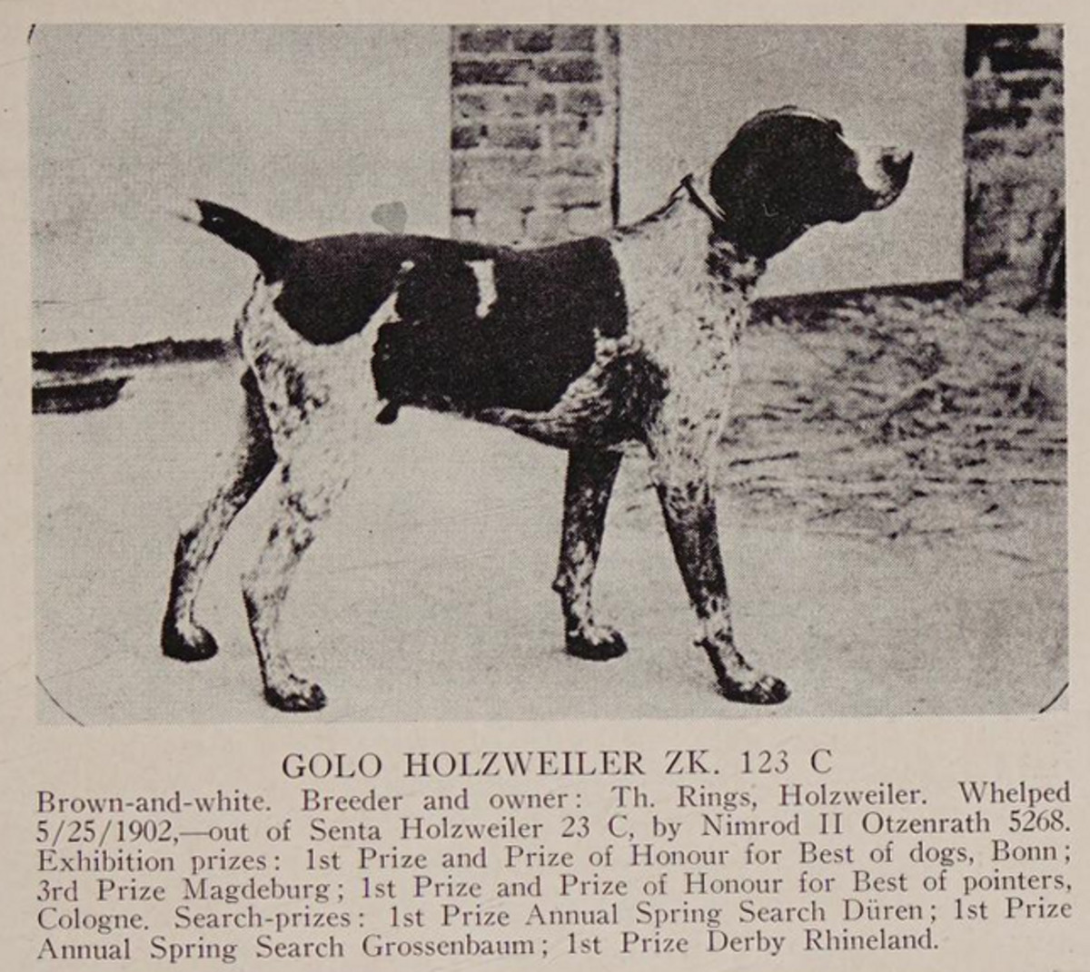 Image of Golo Holzweiler (DK) *