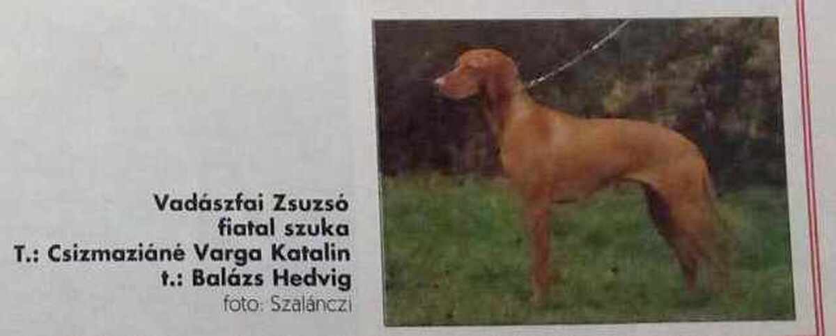 Image of Vadászfai Zsuzsó