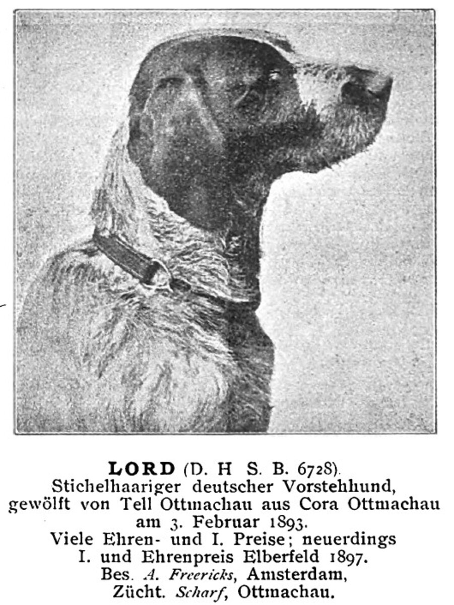 Image of Lord Ottmachau (DSt)