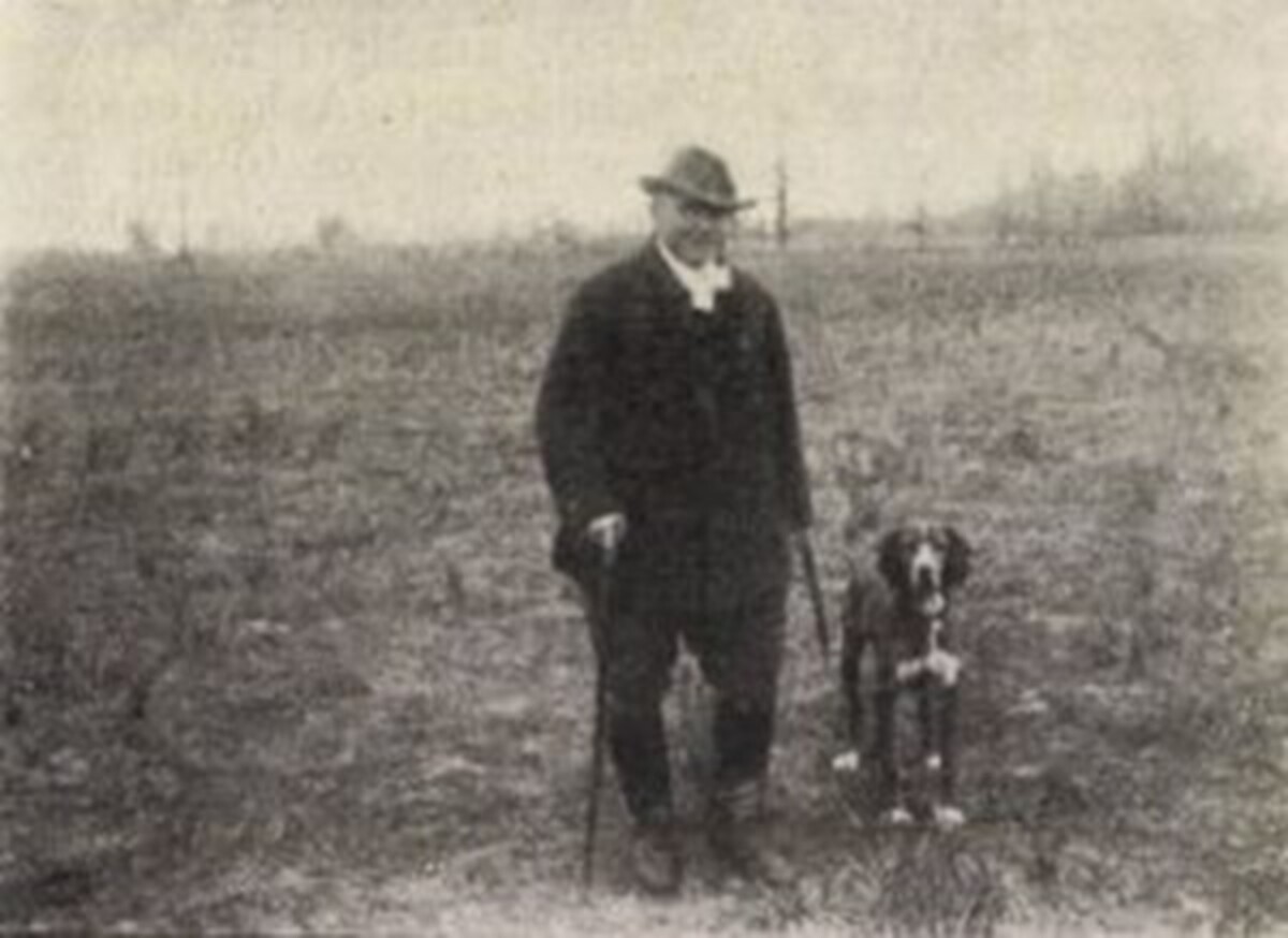 Image of Felo